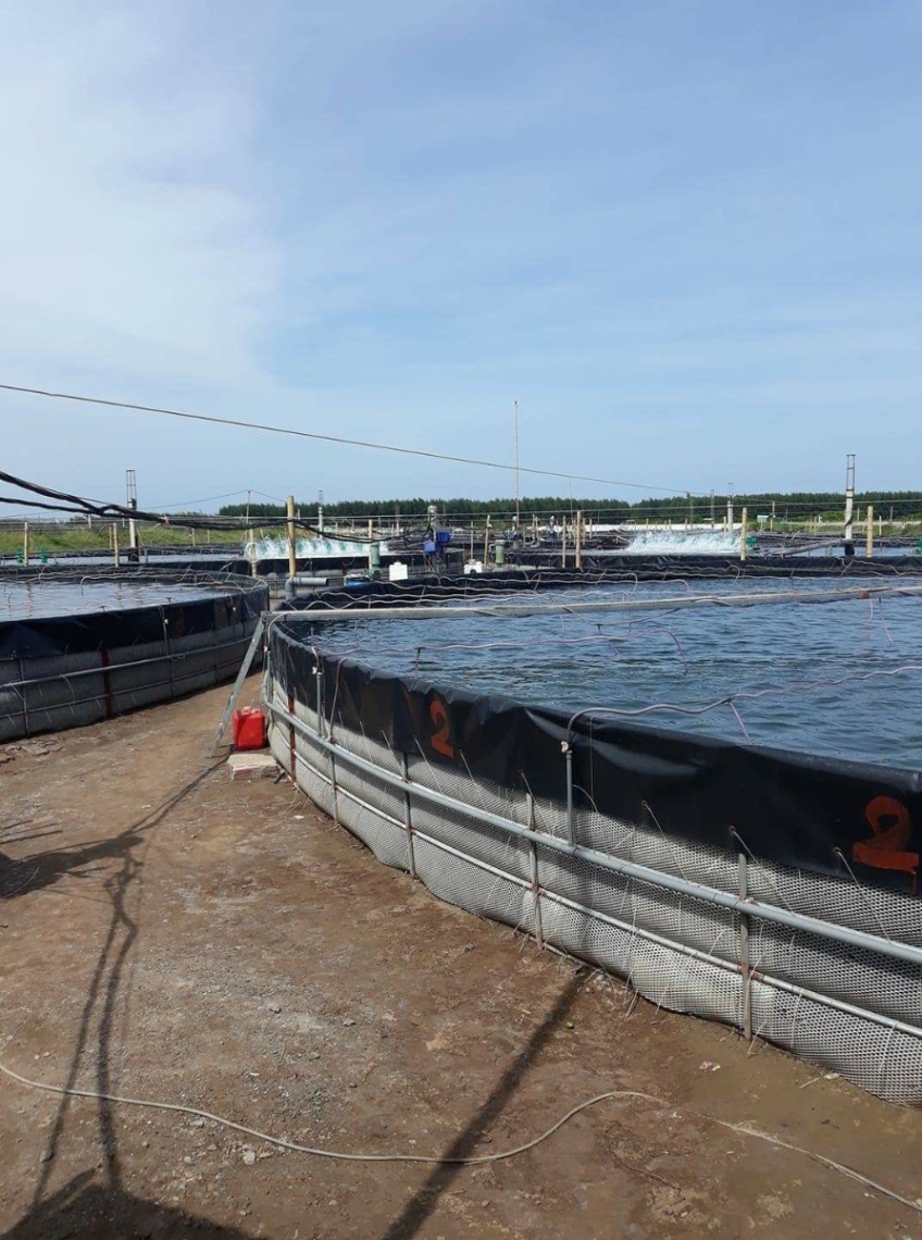 Solar Power for Catfish Farms in Nigeria: Aeration Loads, Oxygen Safety and Backup Planning